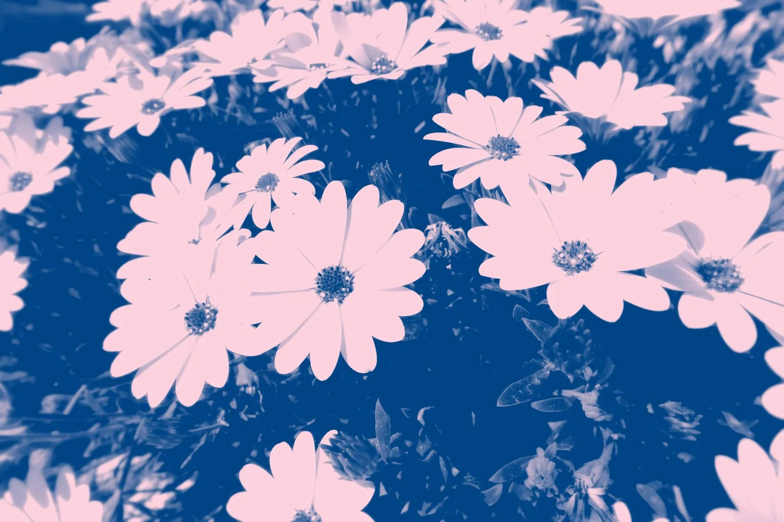 Preview image for test project 3